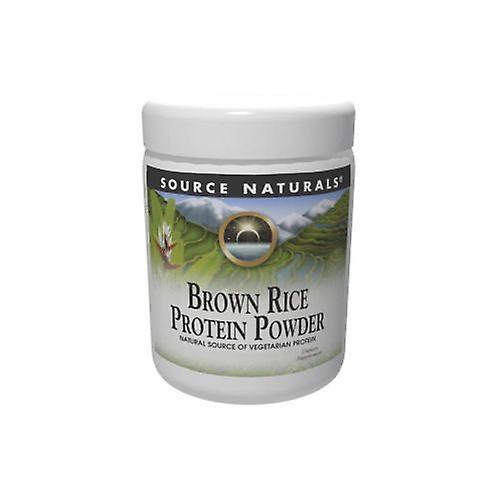 Source Naturals Brown Rice Protein Powder, 454 Gram, 1LB (454gm) (Pack of 1) on Productcaster.