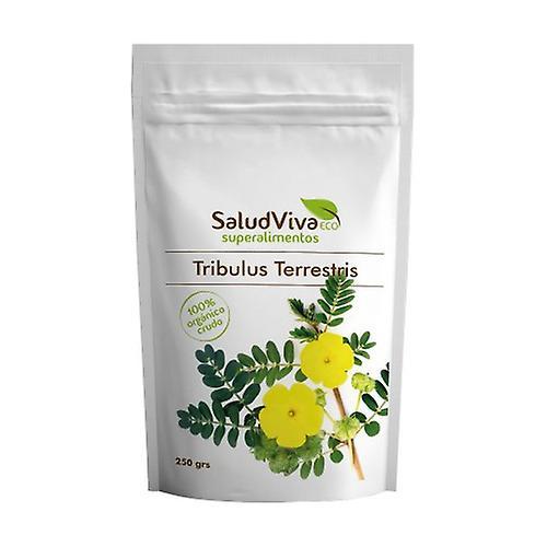 Salud Viva Tribulus Terrestris Eco 250 g on Productcaster.