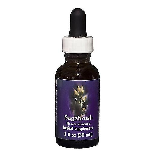 Flower Essence Services Sagebrush Dropper, 1 oz (Pack of 1) on Productcaster.