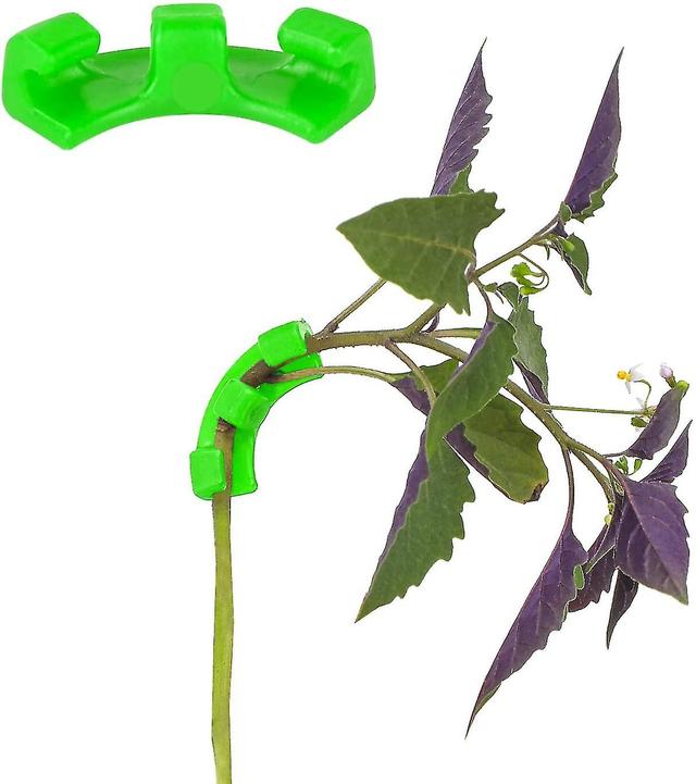 30 Pack 90 degrés Plant Bender Lst Clips Plant Holder Outil de jardinage pour un entraînement à faible stress Vert on Productcaster.