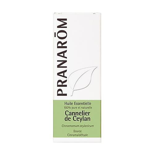 Pranarôm Ceylon Cinnamon Essential Oil 5 ml of essential oil on Productcaster.