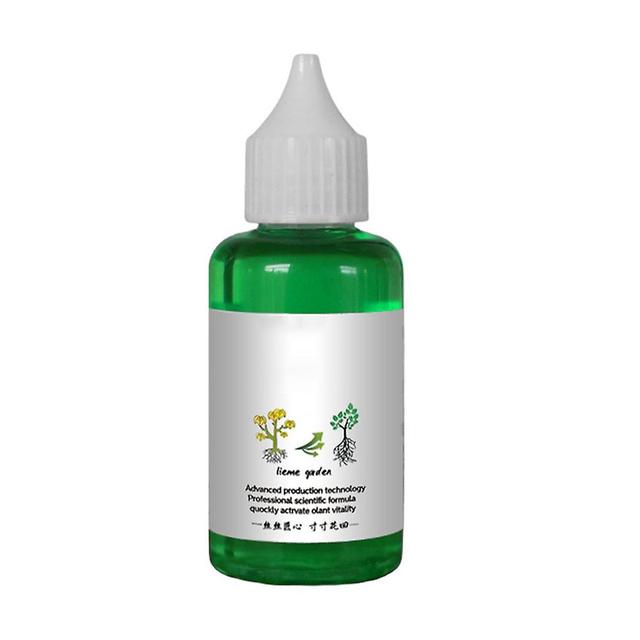 Revive Your Plants with Plant Resurrection Liquid 50ML HOT on Productcaster.