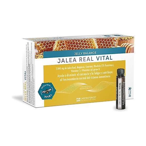 Fdb Jelly vital balance royal jelly 20 vials of 15ml on Productcaster.