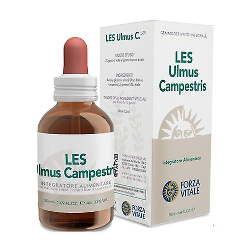 Forza Vitale LES Ulmus Campestris 50 ml on Productcaster.