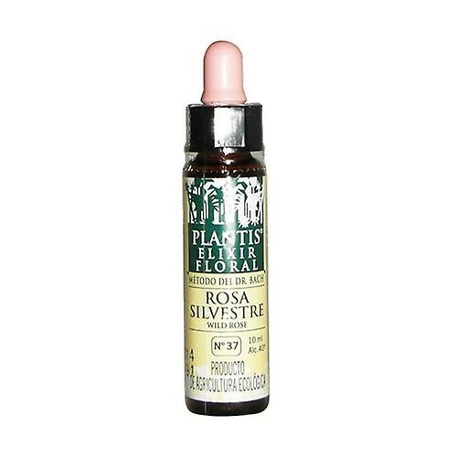 Plantis Bach Flower Rose Sil-37 Eco Floral Elixir 10 ml of floral elixir on Productcaster.