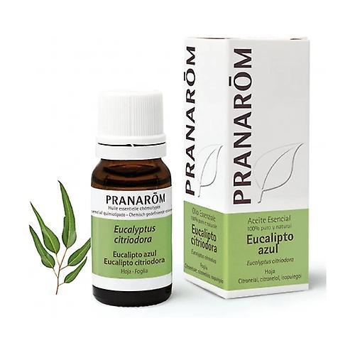 Pranarôm Lemon Eucalyptus essential oil - leaf 10 ml of essential oil (Eucalyptus) on Productcaster.