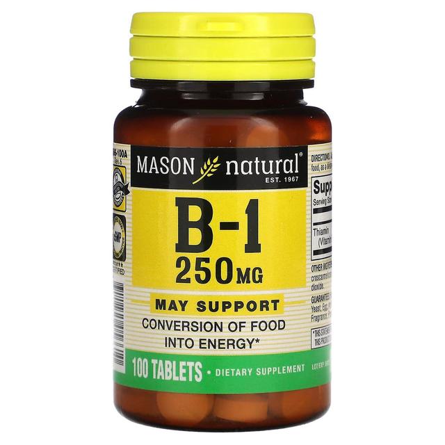 Mason Natural, Vitamin B-1, 250 mg, 100 Tablets on Productcaster.