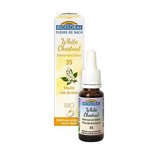 Biofloral Organic White Chestnut 20 ml of floral elixir on Productcaster.