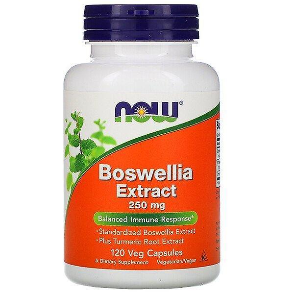 Now Foods, Boswellia Extract, 250 mg, 120 Veg Capsules on Productcaster.