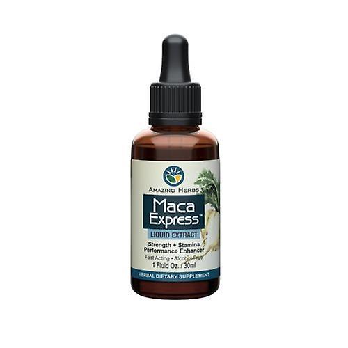 Amazing Herbs Black Seed Maca Express Liquid Extract, 1 oz (Pack of 1) on Productcaster.