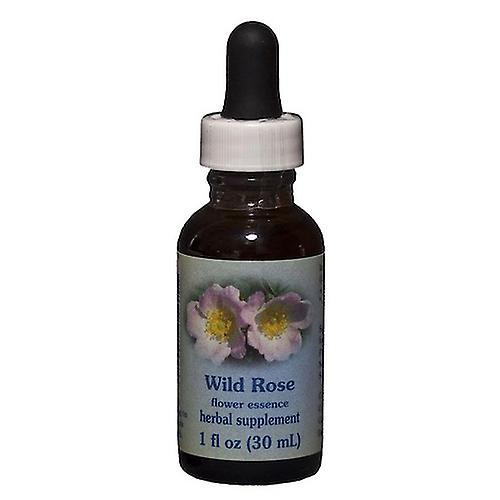 Flower Essence Services Wild Rose Dropper, 1 oz (Pack de 1) on Productcaster.