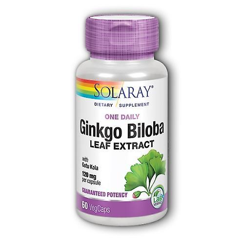 Solaray Ginkgo Biloba Blattextrakt, 120 mg, 60 Kapseln (Packung mit 6 Stück) on Productcaster.