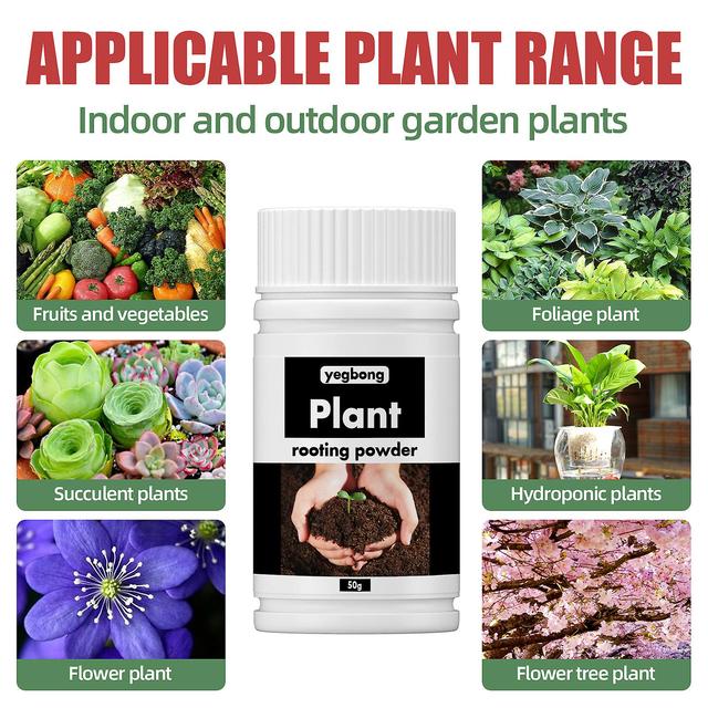 YEGBONG plant wortel- en kiempoeder, plantenstekken, bomen verplanten, fruitboomwortelvoedingspoeder 100g (3 stuks) on Productcaster.