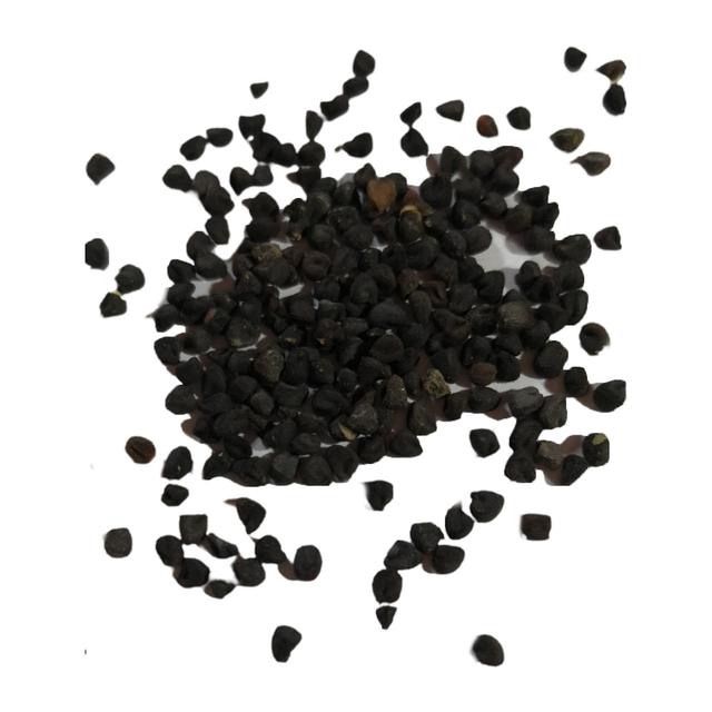 1 Bag Herb Seed Natural Fresh Vitamins Fragrant Curry Seed for Farm bluelans Curry Seeds on Productcaster.