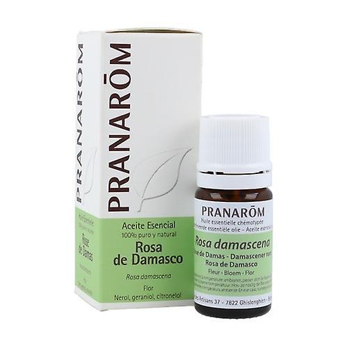 Pranarôm Essential oil Damascus Rose - flower 2 ml of essential oil (Roses) on Productcaster.