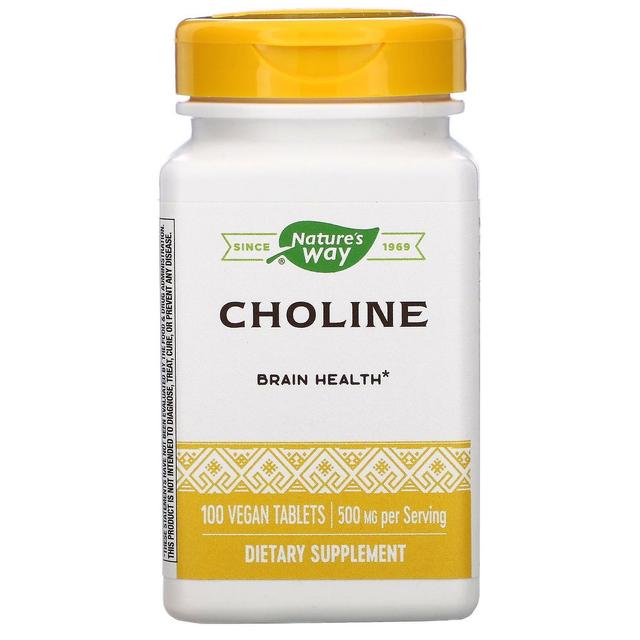 Nature's Way, Choline, 500 mg, 100 Vegan Tablets on Productcaster.