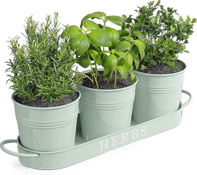 Kryc-barnyard Designs Farmhouse Herb Garden Planter Innendørs Planter Sett med skuff eller utendørs leilighet Window Planter Box on Productcaster.