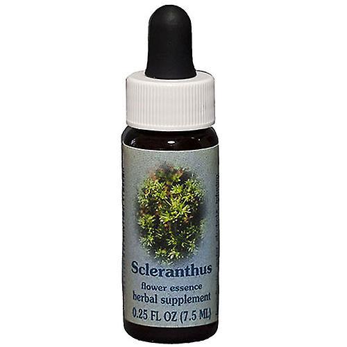 Flower Essence Services Scleranthus Contagocce, 0,25 once (Confezione da 1) on Productcaster.