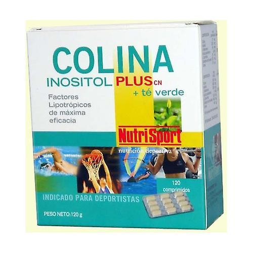 Nutrisport Koliini inositoli Plus vihreä tee 120 tablettia on Productcaster.