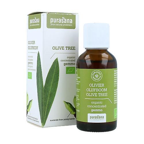 Purasana Olive 50 ml on Productcaster.