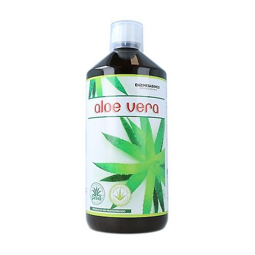 Enzime Sabinco Aloe Vera Eco 1 L on Productcaster.