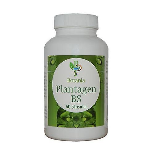 Botania Plantagen BS (Boswellia) 60 capsules on Productcaster.