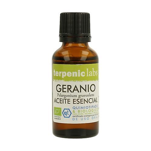 Terpenic Organic Geranium Essential Oil 30 ml of essential oil on Productcaster.