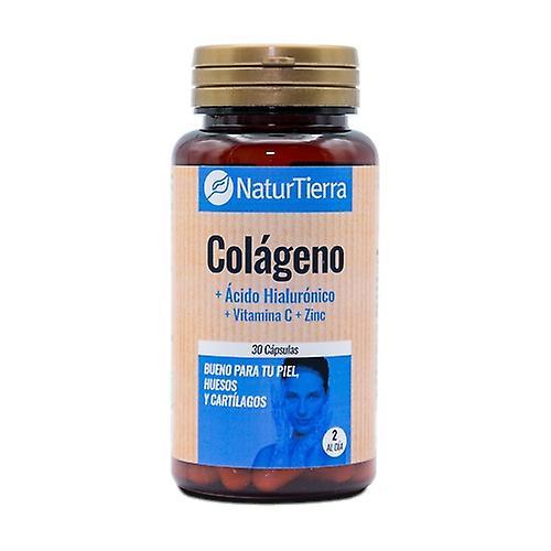 Naturtierra Collagen + hyaluronic acid + vitamin C + zinc 30 capsules on Productcaster.