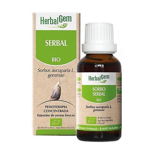 Herbalgem Glycerin macerated rowan 50 ml on Productcaster.