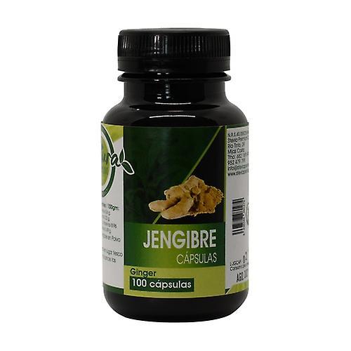 Stevia Premium Ginger Capsules 100 capsules on Productcaster.