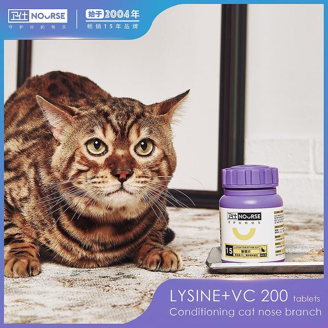 Rion Cat Ammonia-lysine Tablets Vc Care Cat Nose Support Pet Nutrition Supplement 100g on Productcaster.