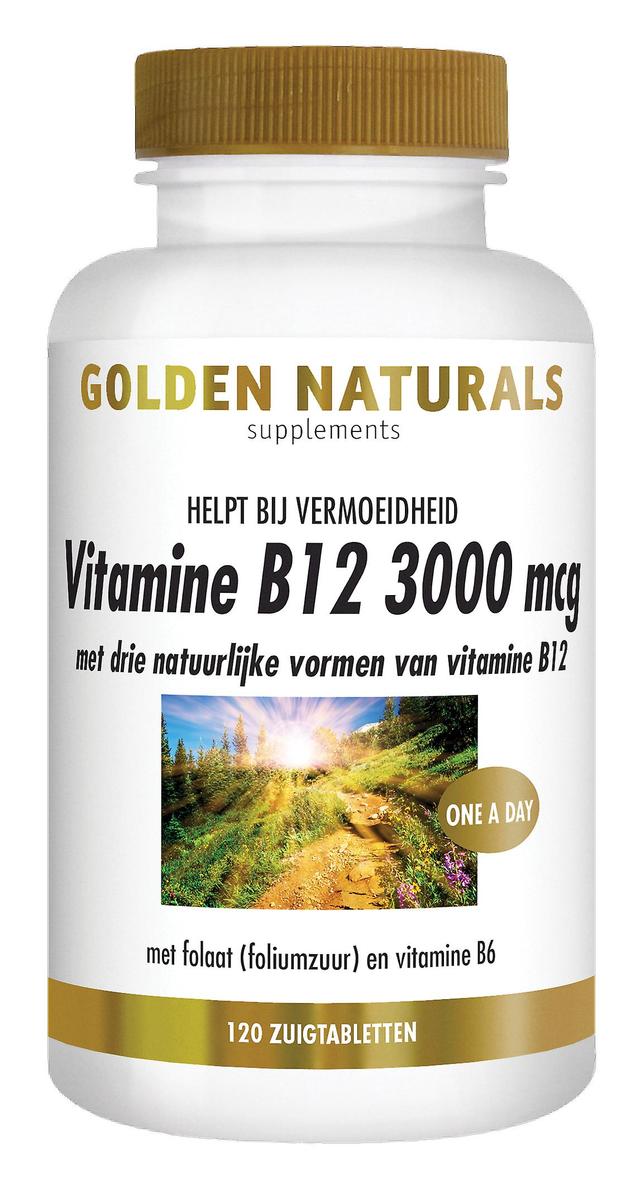 Golden Naturals Witamina B12 3000 mcg (120 wegańskich pastylek do ssania) on Productcaster.