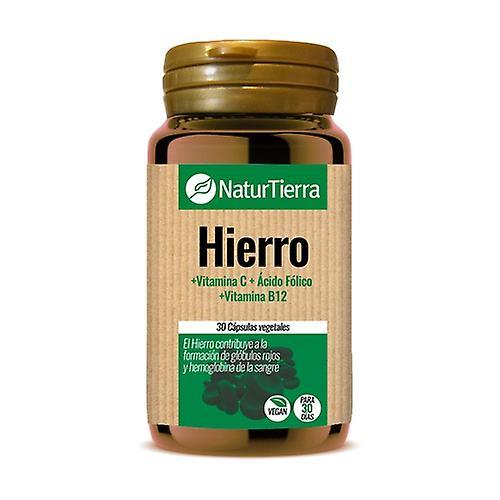 Naturtierra Iron 30 vegetable capsules on Productcaster.