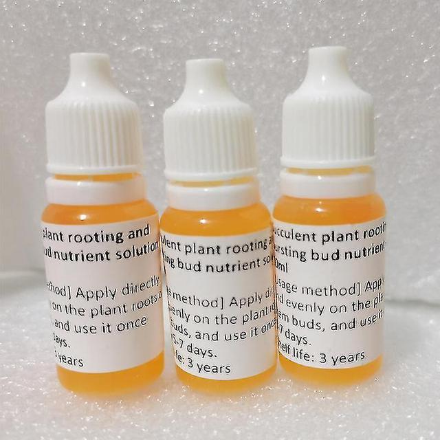 Doumi Tib Succulent Old Piles, Burst Buds, Rapid , Obesity Ant, Leaf Cutting Pron Rooting Nutrient Solut 10ml on Productcaster.