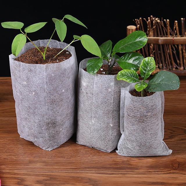 100pcs Nursery Bag Good Nutrient Absorb Ability Permeability Non-woven Plants Grow Pouch For Home Kaesi 12 on Productcaster.