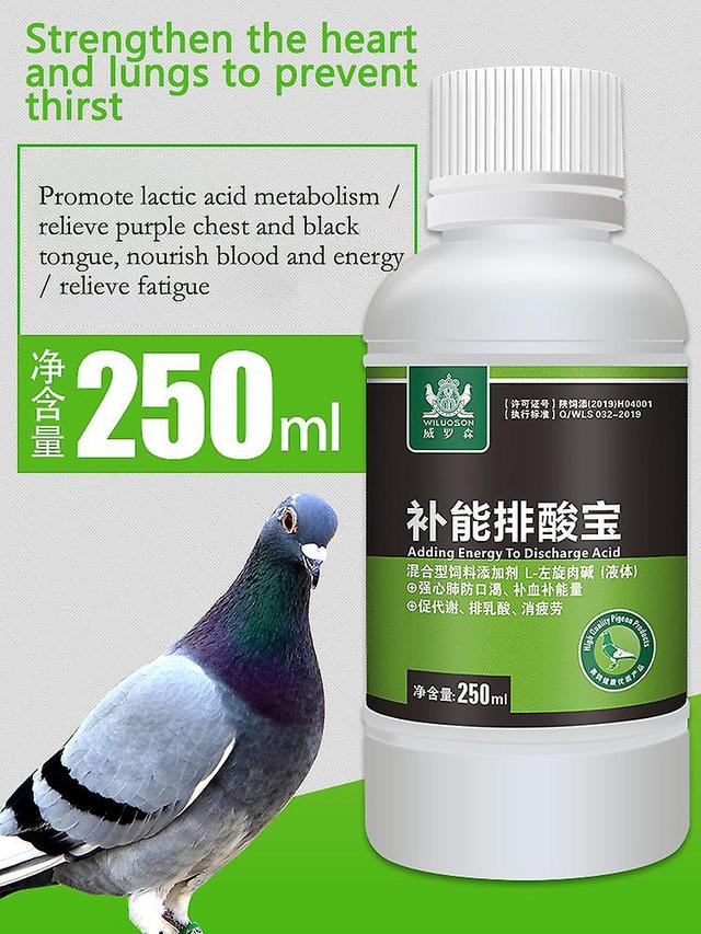 Visgaler Pai Suanbao Pigeon Racing Pigeon Homing Pigeon Magic Treasure Competition Conditioning Nutrition Supplement Can Relieve Fatigue on Productcaster.