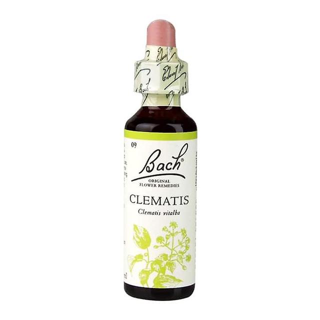 Bach Flower Remedies Bachove kvetinové prostriedky plamienok on Productcaster.