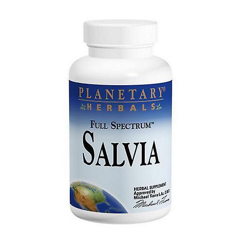 Planetary Herbals Salvia with MSV 60, 120 Tabs + 60 Tabs (Pack of 1) on Productcaster.