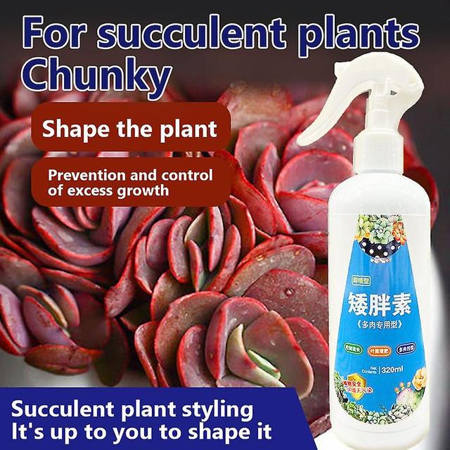 Visgaler Succulent Plant Eugenin Promotes Budding, Dwarf Fat, Prevents Leggy Organic Granules 320ml A2 on Productcaster.