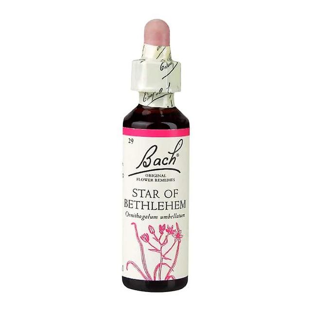 Bach flower remedies star of bethlehem on Productcaster.