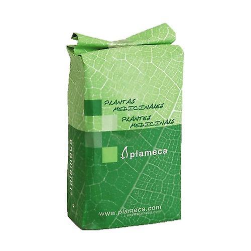 Plameca Hele Koriandere 1 kg on Productcaster.