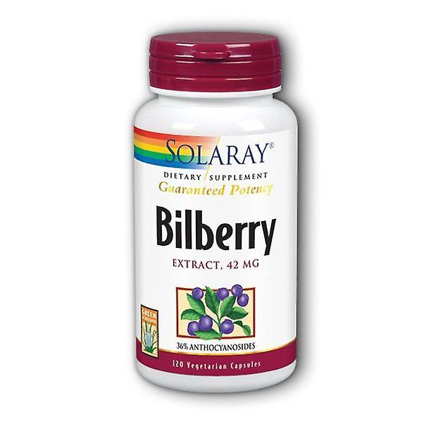 Solaray bilberry extract 42 mg - 120 capsules on Productcaster.