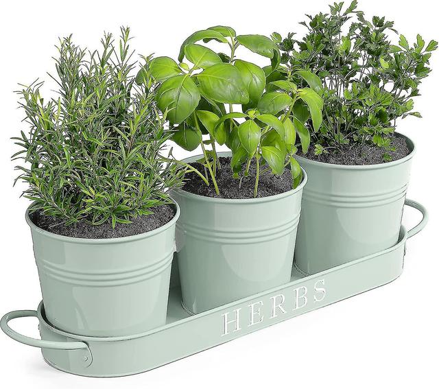 Hywell -barnyard Designs Farmhouse Herb Garden Planter Indoor Planter Set With Tray Or Outdoor Apartment Window Planter Box, Windowsill Planter Box, I on Productcaster.