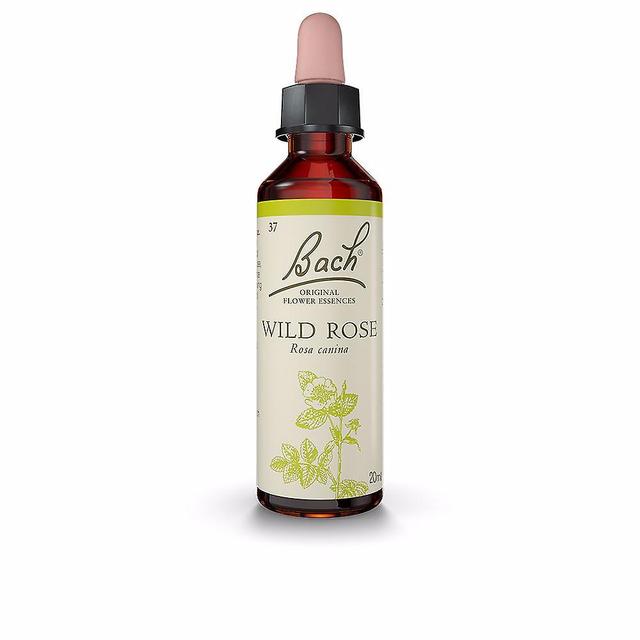 Bach Flores De Bach (37) Wild Rose 20 Ml Unisex on Productcaster.