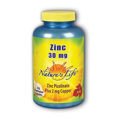 Nature's Life Zinc Picolinate,30 mg,250 caps (Pack of 1) on Productcaster.