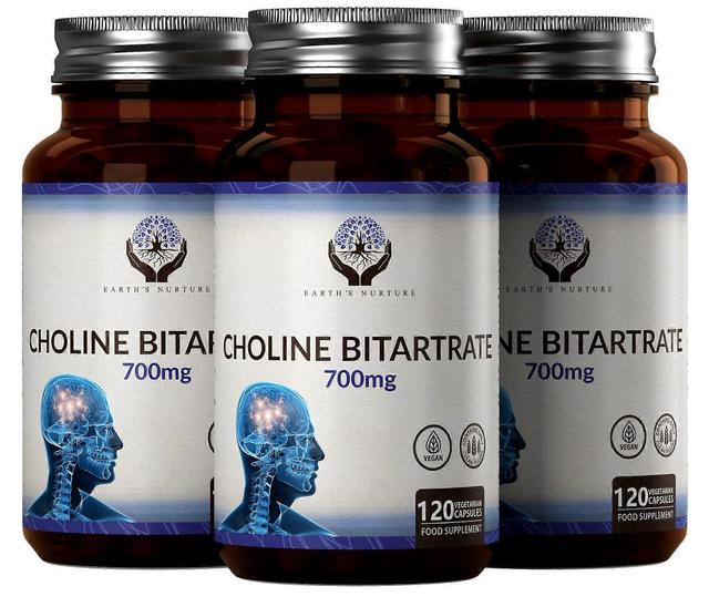 Earth's Nurture Choline Bitartraat (700mg) 120 Capsules 3 Bottles (360 Capsules) on Productcaster.