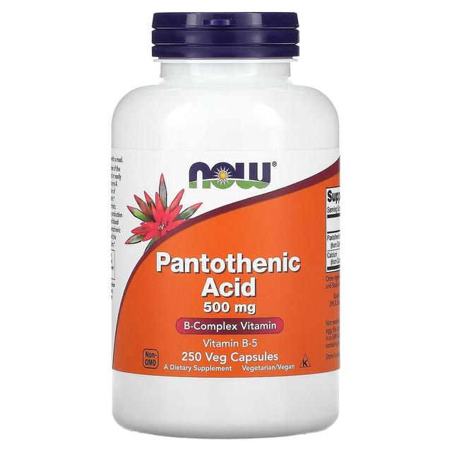 NOW Foods NOW Alimentos, Ácido pantotênico, 500 mg, 250 Veg Cápsulas on Productcaster.