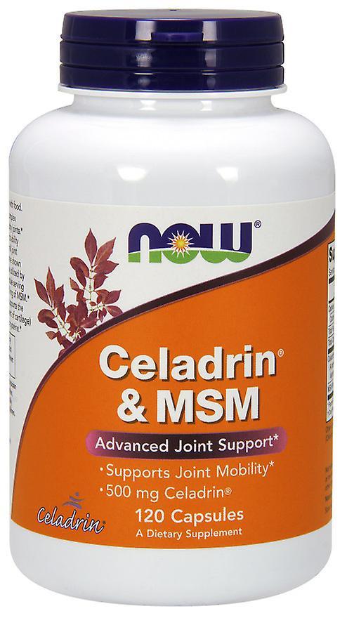 Now Foods Celadrin & MSM 500 mg 120 Capsules on Productcaster.