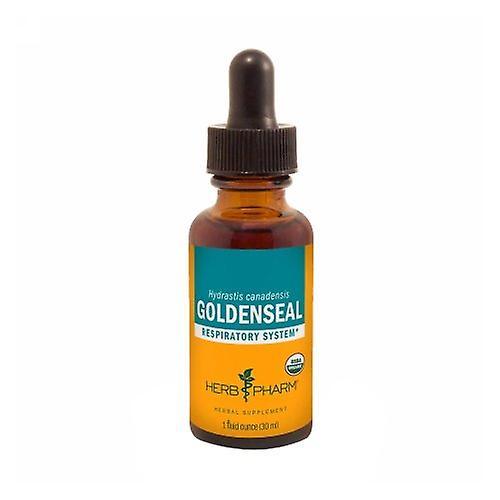 Herb Pharm Goldenseal Extract, 1 oz (Pack of 3) on Productcaster.