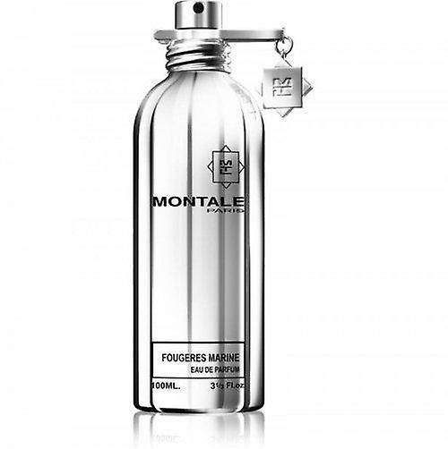 Montale Fougeres Marine Eau de parfum spray 100 ml on Productcaster.